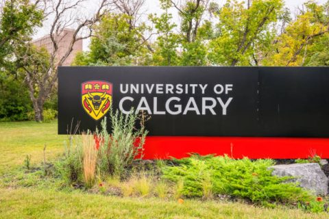 gettyimages-1277961239-612x612